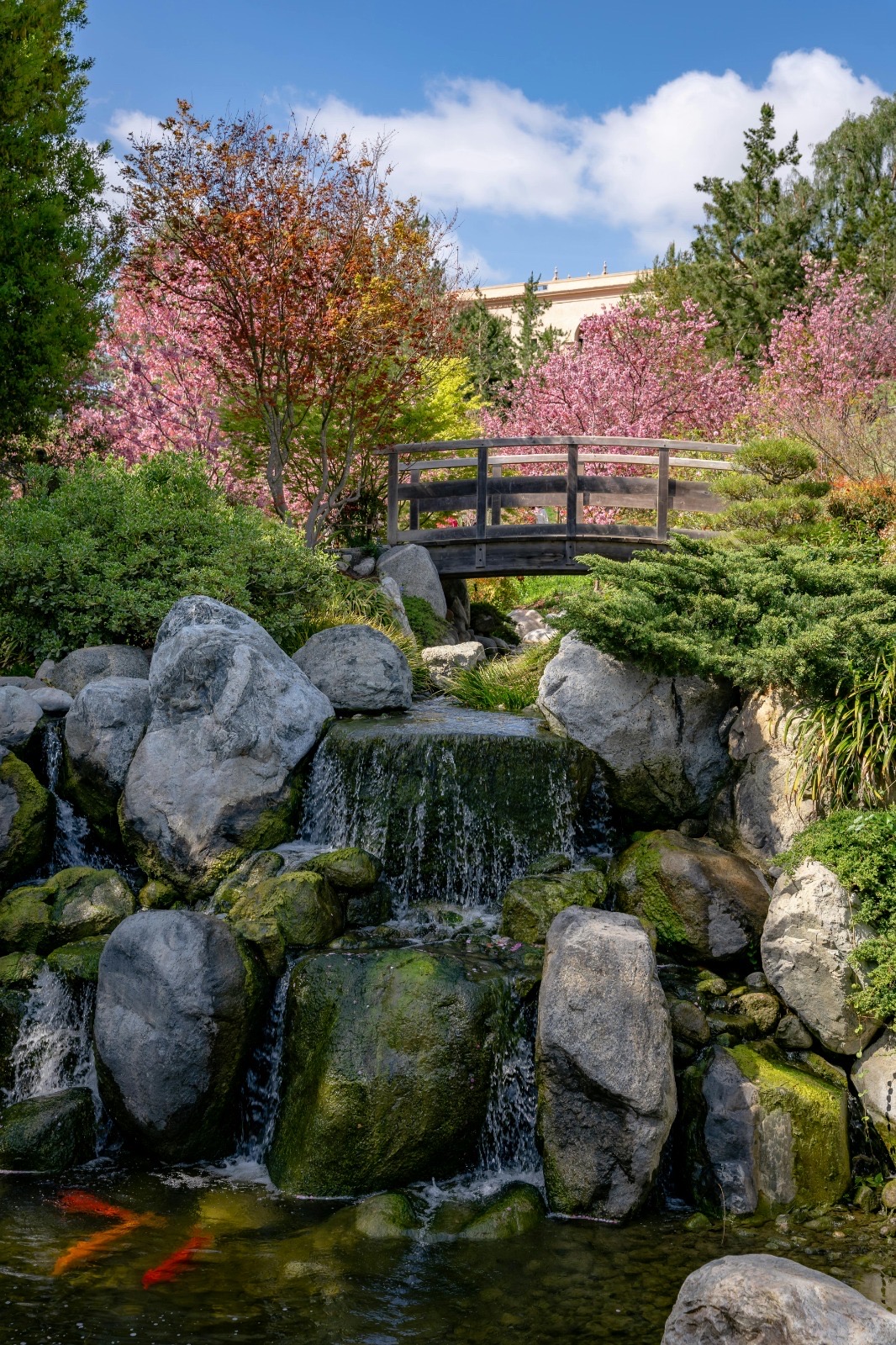 Sarah Adam’s Fishing pond