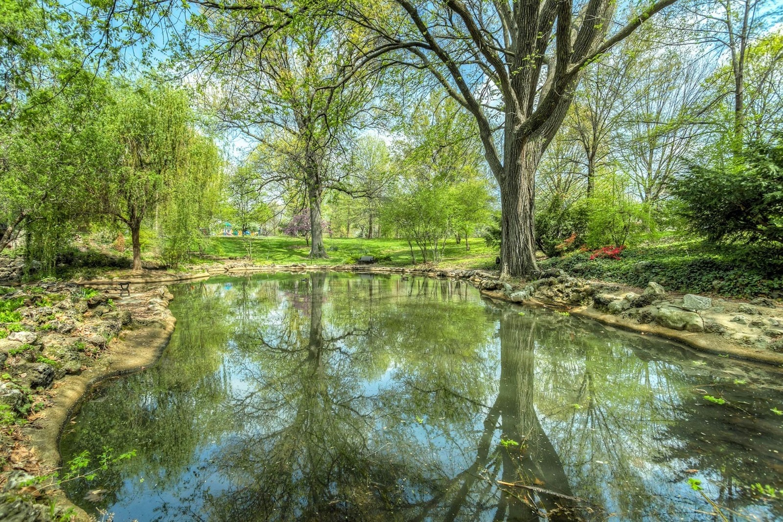 test pond
